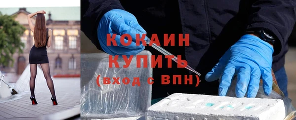 apvp Дмитровск