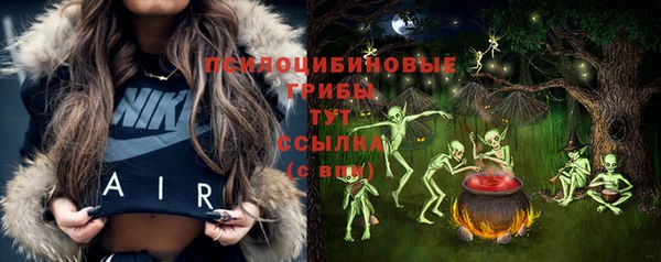 ешки Дмитров
