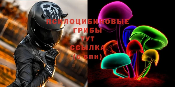 ешки Дмитров