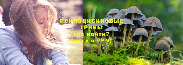 ешки Дмитров